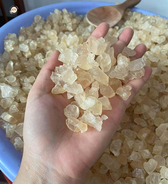 Mủ Trôm Ninh Thuận – Nguyên Chất 100%